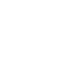 Vector