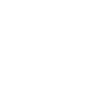 speedometer 1